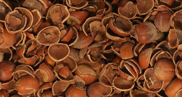 Fındık Kabuğu Güçlüler Katı yakıt